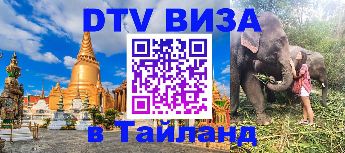 Оформление DTV визы под ключ: стоимость и тарифы, только загранпаспорт - Муром  09.01.2026 